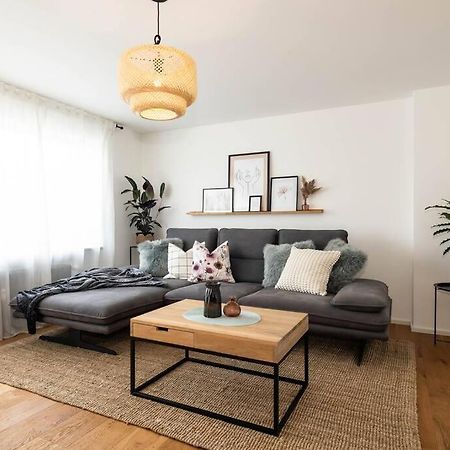 Luxury Apartment On The Rhein Busingen am Hochrhein Dış mekan fotoğraf