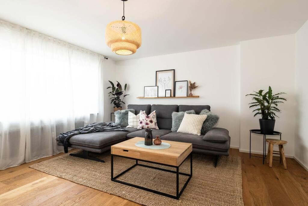 Luxury Apartment On The Rhein Busingen am Hochrhein Dış mekan fotoğraf