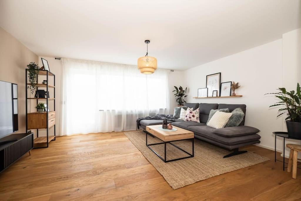Luxury Apartment On The Rhein Busingen am Hochrhein Dış mekan fotoğraf