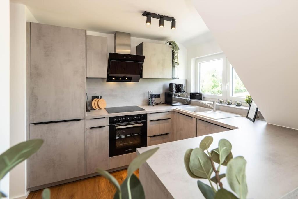 Luxury Apartment On The Rhein Busingen am Hochrhein Dış mekan fotoğraf