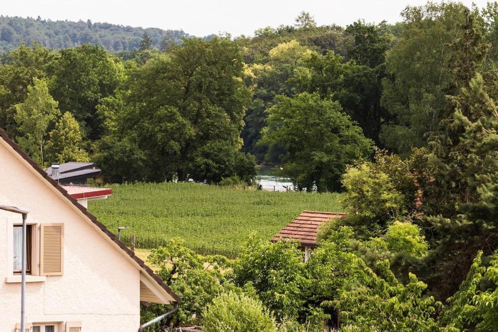 Luxury Apartment On The Rhein Busingen am Hochrhein Dış mekan fotoğraf