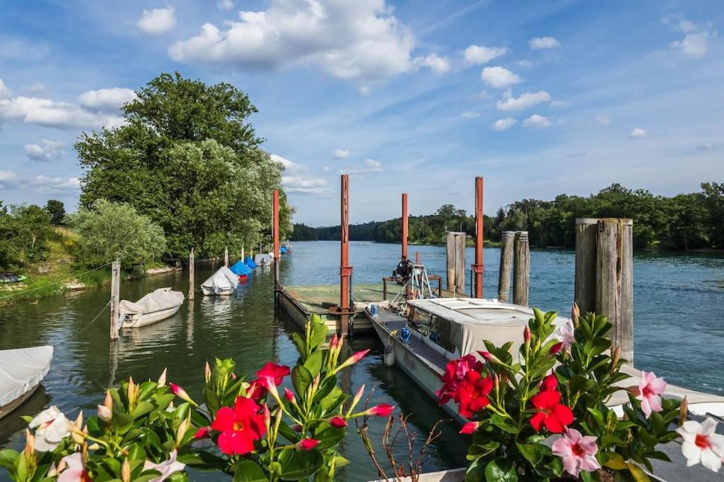 Luxury Apartment On The Rhein Busingen am Hochrhein Dış mekan fotoğraf