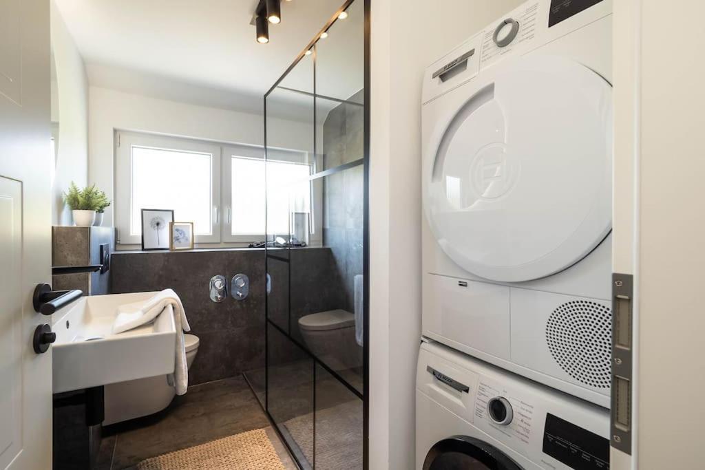 Luxury Apartment On The Rhein Busingen am Hochrhein Dış mekan fotoğraf