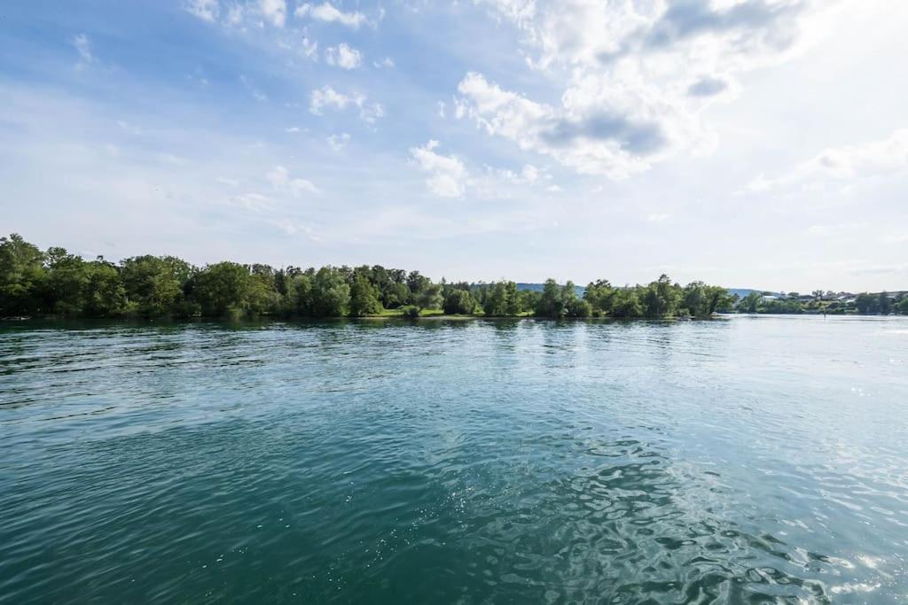 Luxury Apartment On The Rhein Busingen am Hochrhein Dış mekan fotoğraf