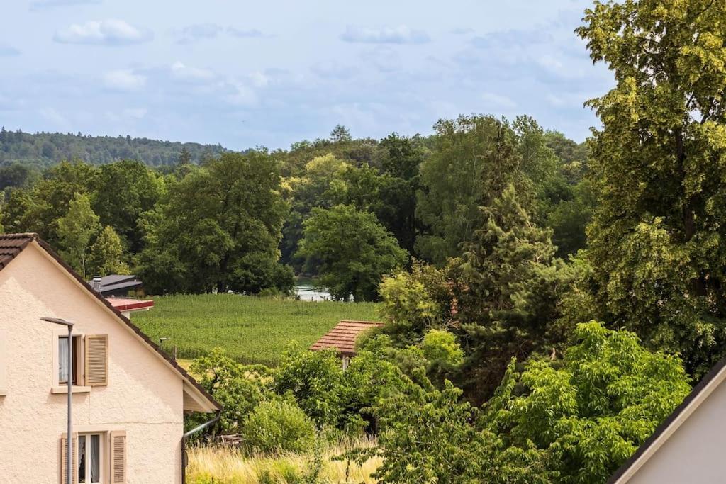 Luxury Apartment On The Rhein Busingen am Hochrhein Dış mekan fotoğraf
