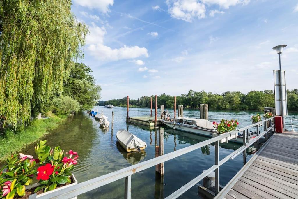 Luxury Apartment On The Rhein Busingen am Hochrhein Dış mekan fotoğraf