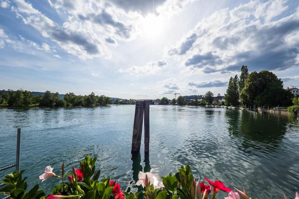 Luxury Apartment On The Rhein Busingen am Hochrhein Dış mekan fotoğraf